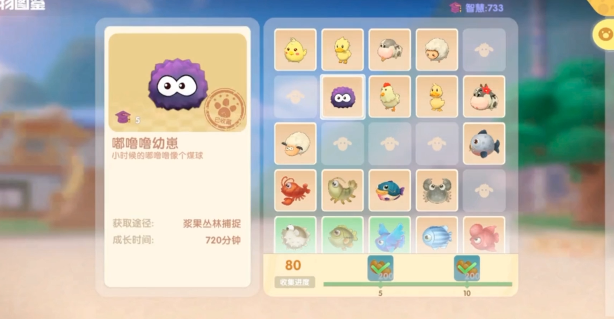 摩尔庄园嘟噜噜毛怎么用