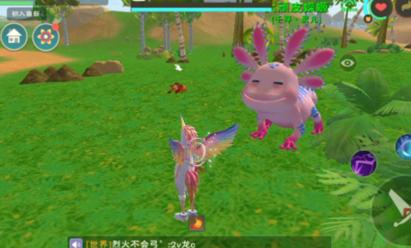 创造与魔法宠物怎么抓