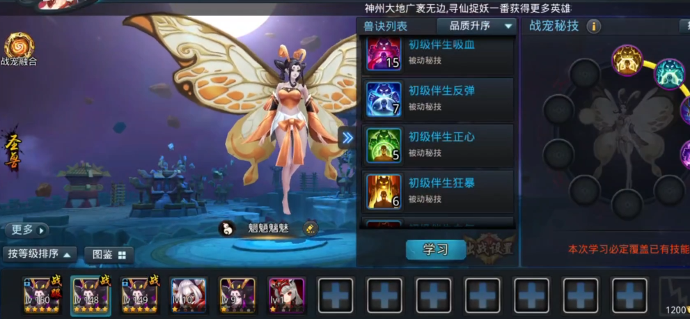 乱斗西游宠物怎么加点