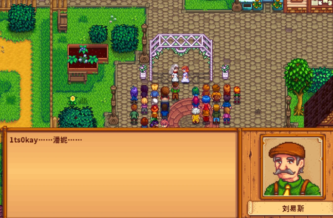 星露谷物语怎么跟潘妮结婚