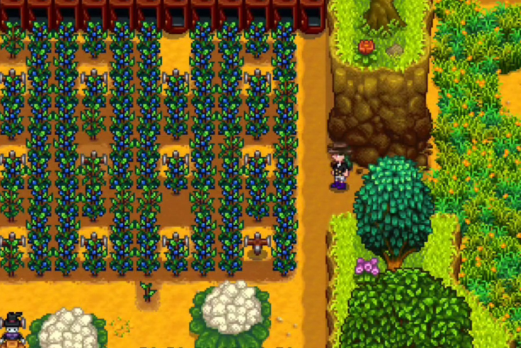 星露谷物语夏季怎么赚钱