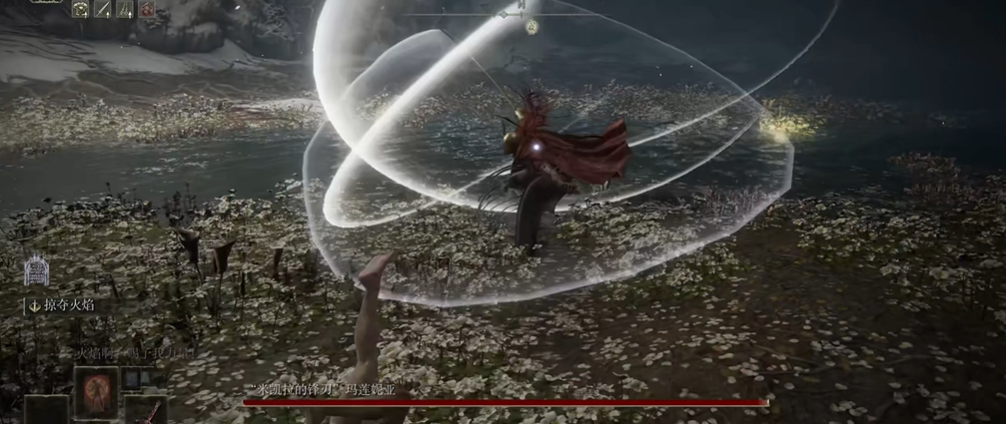 艾尔登法环水鸟怎么躲